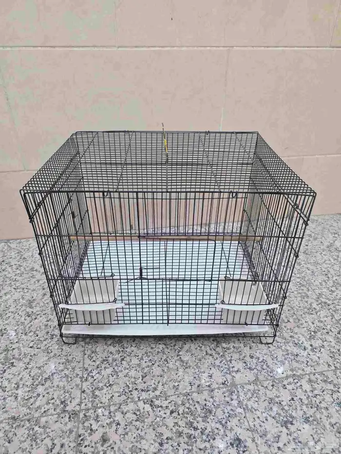 يويو السنغالي 5