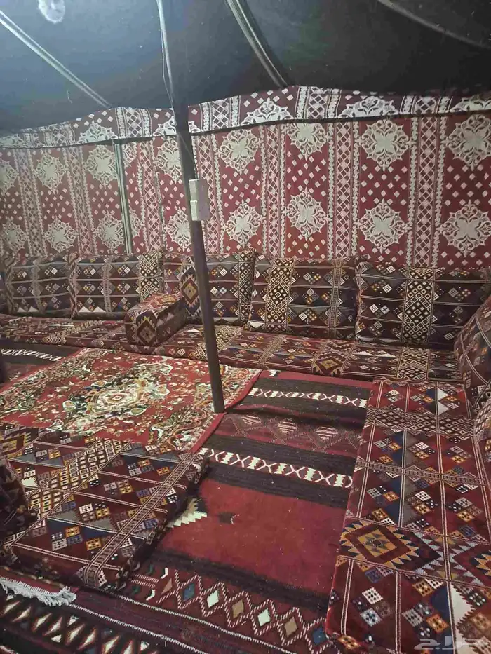 مخيم السعادة بنفود الشرقي 11