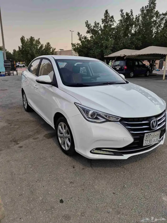 شنجان السفن 2020 فل كامل 4