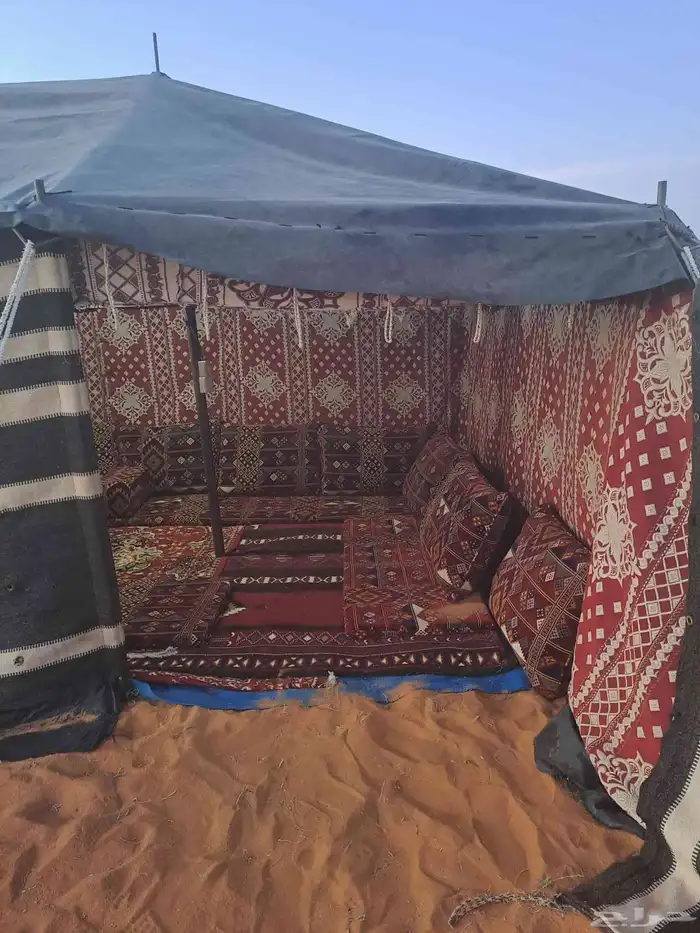 مخيم السعادة بنفود الشرقي 10