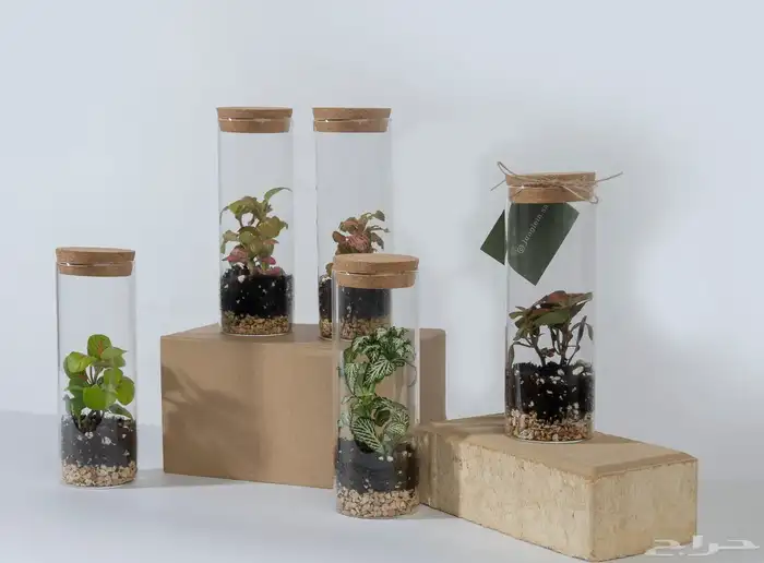 تصوير فوتو وفيديو ودرون 1