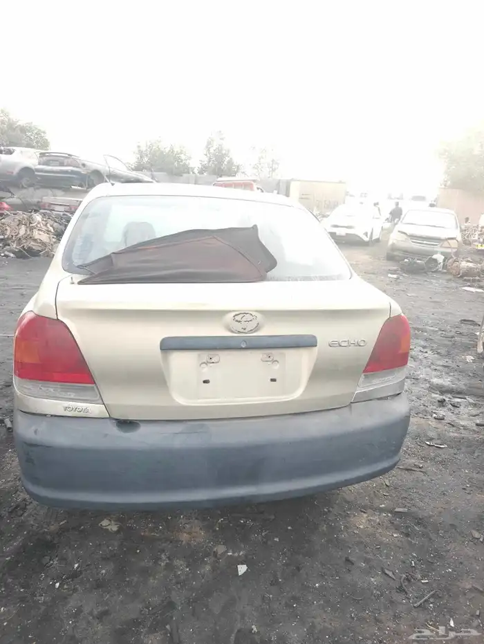 Echo 2005 1