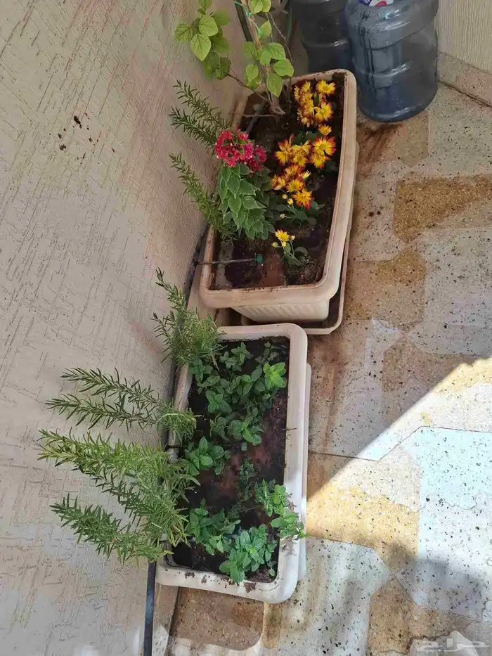 مشتل تنسيق حدائق وعشب صناعي 3