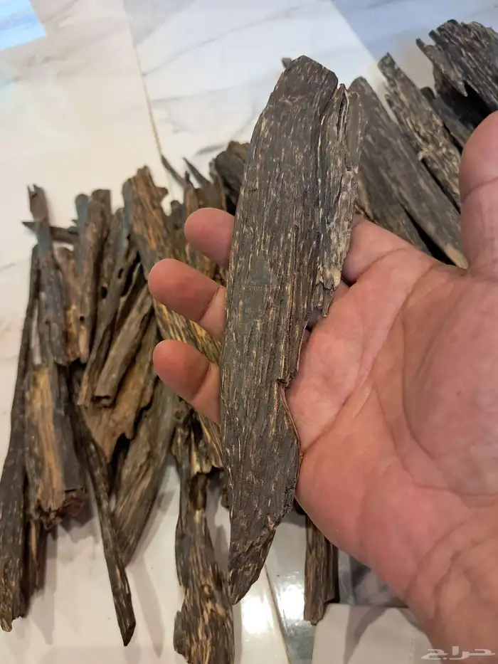 عود بخور امبون ترابل سوبر مرتفع بسعر مغري 2