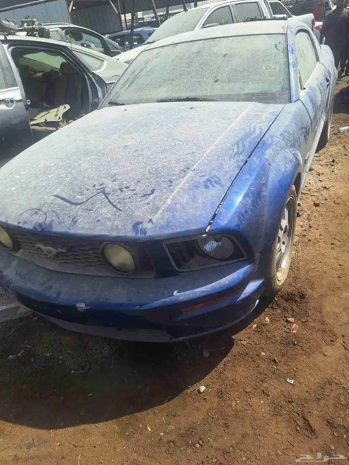 موستنق تشليح 0