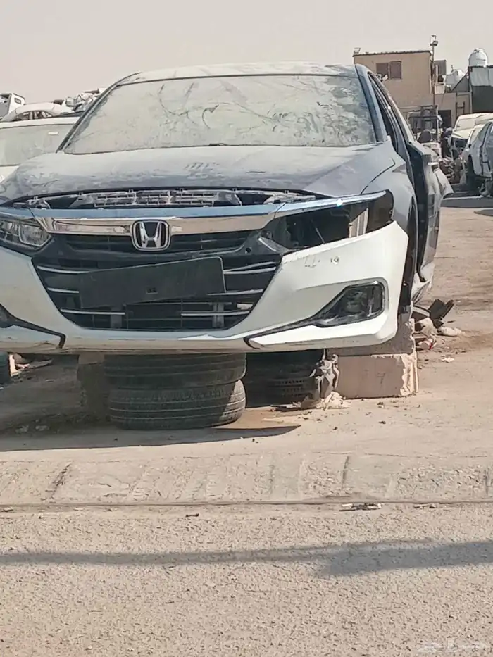 تشليح الحاير والسلي 2