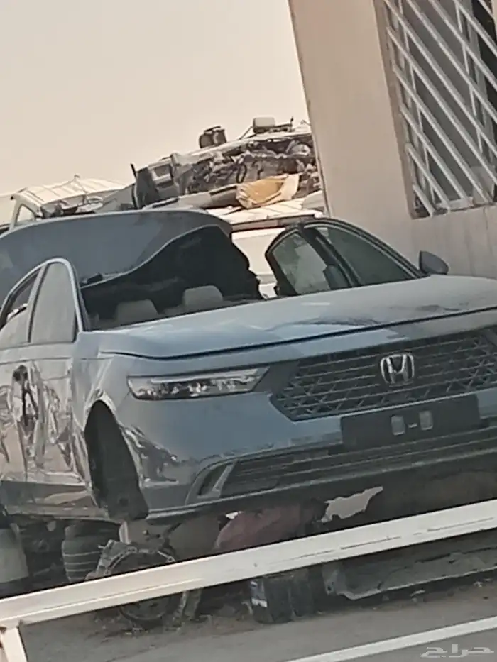 تشليح الحاير والسلي 1