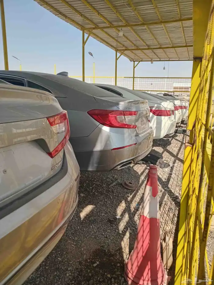 تشليح الحاير والسلي 5