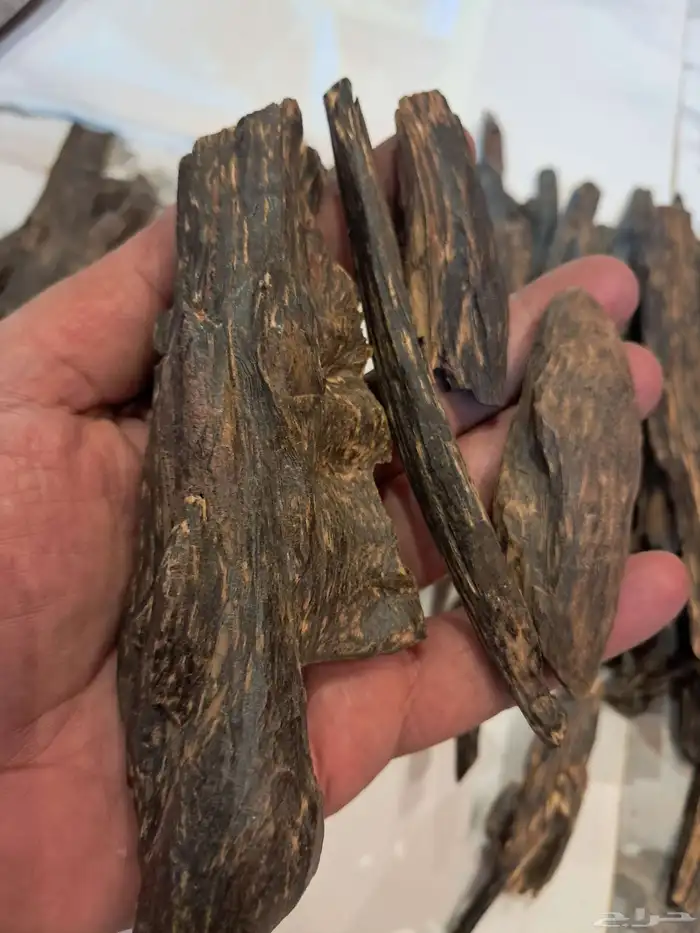 عود بخور امبون ترابل سوبر مرتفع بسعر مغري 3
