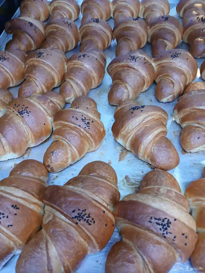 سندوتشات وكوراسونات ام فيصل جدة 4