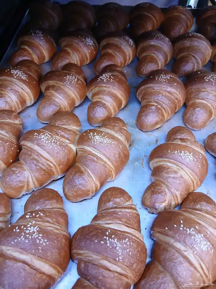 سندوتشات وكوراسونات ام فيصل جدة 5