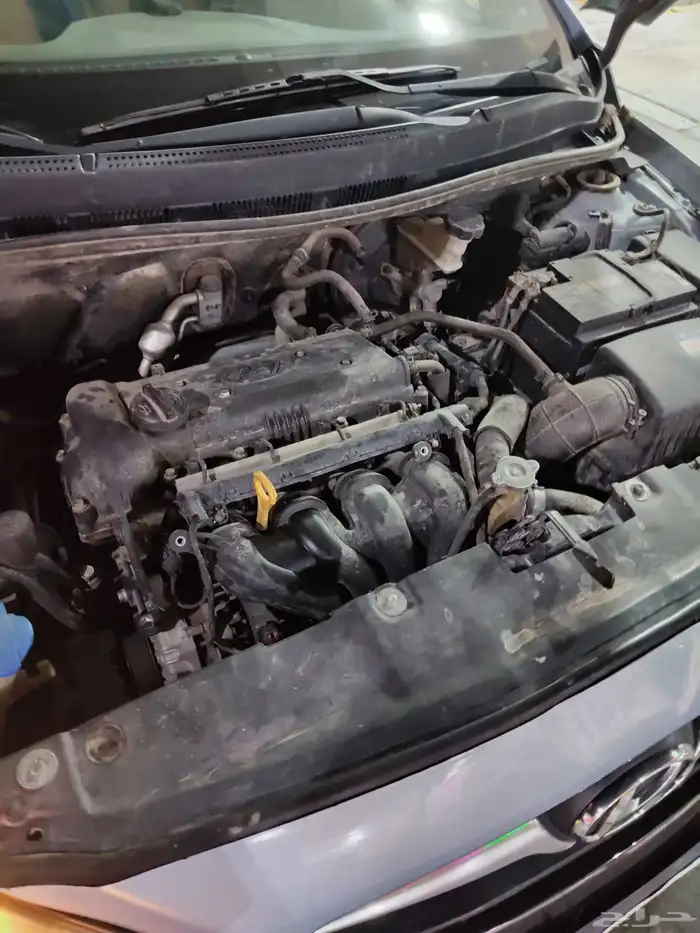 اكسن مديل 2012 0