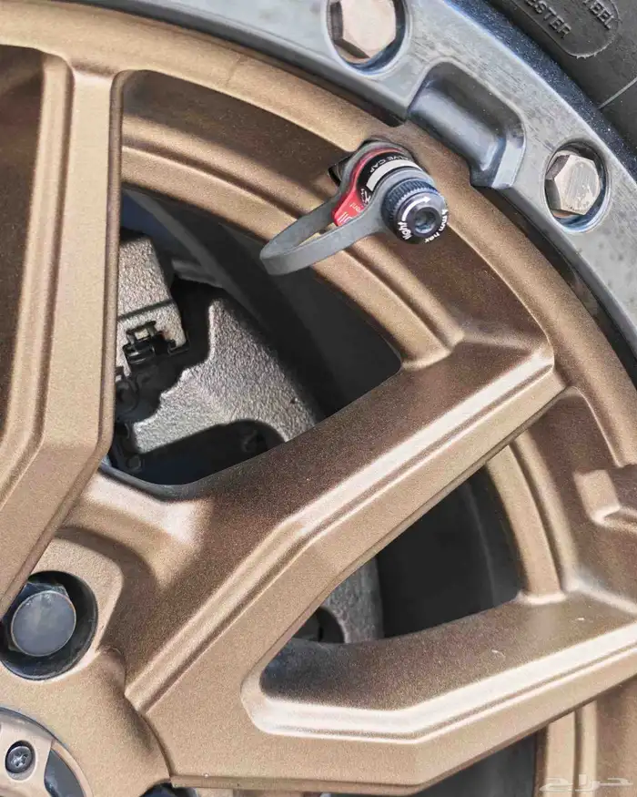 رانجلر مميز 2021 14