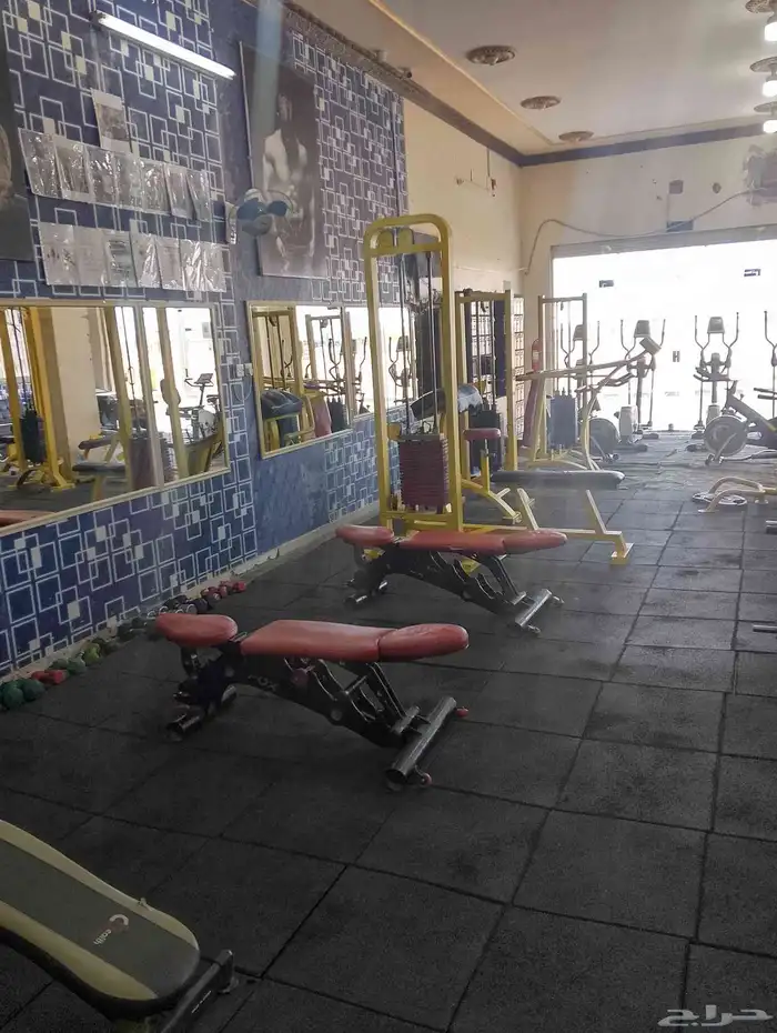 مشروع راءع الاستثمار نادى كامل للتقبيل وبسعر مغرى 6