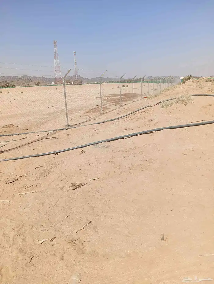 تركيب الشبوك 2