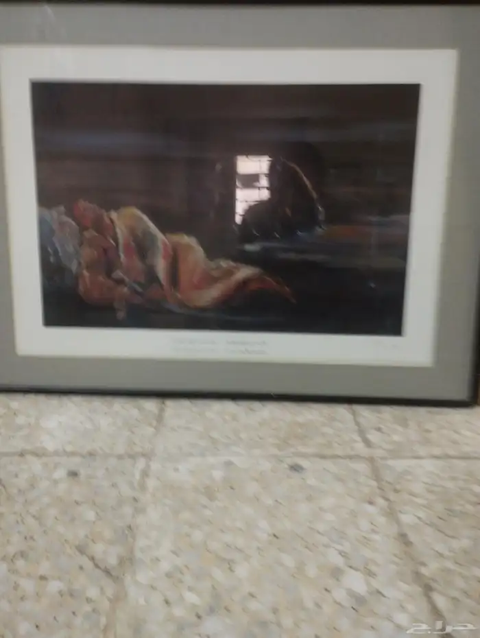 المدينة المنورة 8