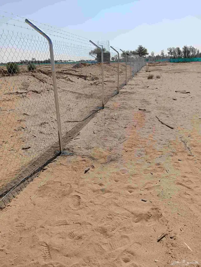 تركيب الشبوك 6