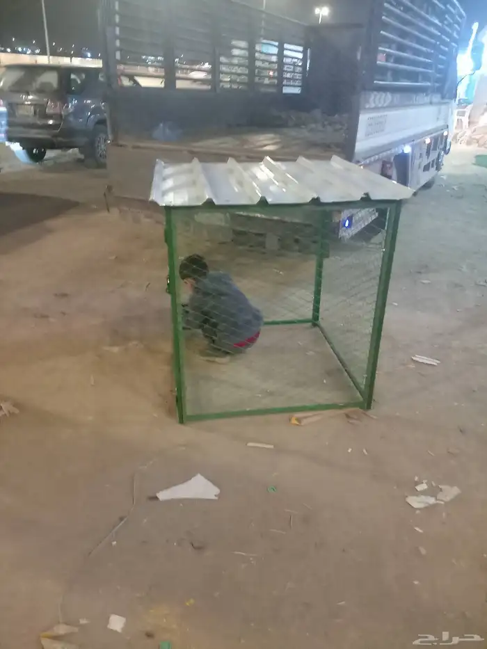 خيمه وبوت شعر 9