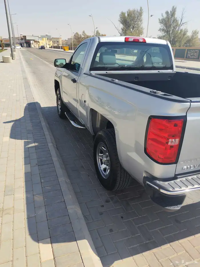 سلفردوا 2017 3