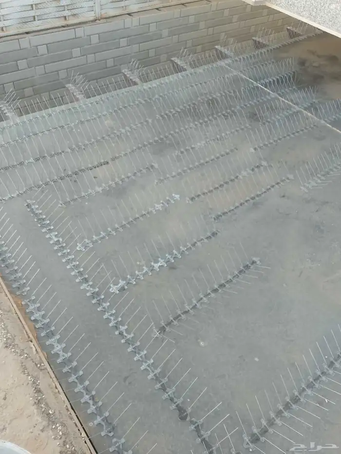 طاردوالحمام تركيب شبابيك شوك 1