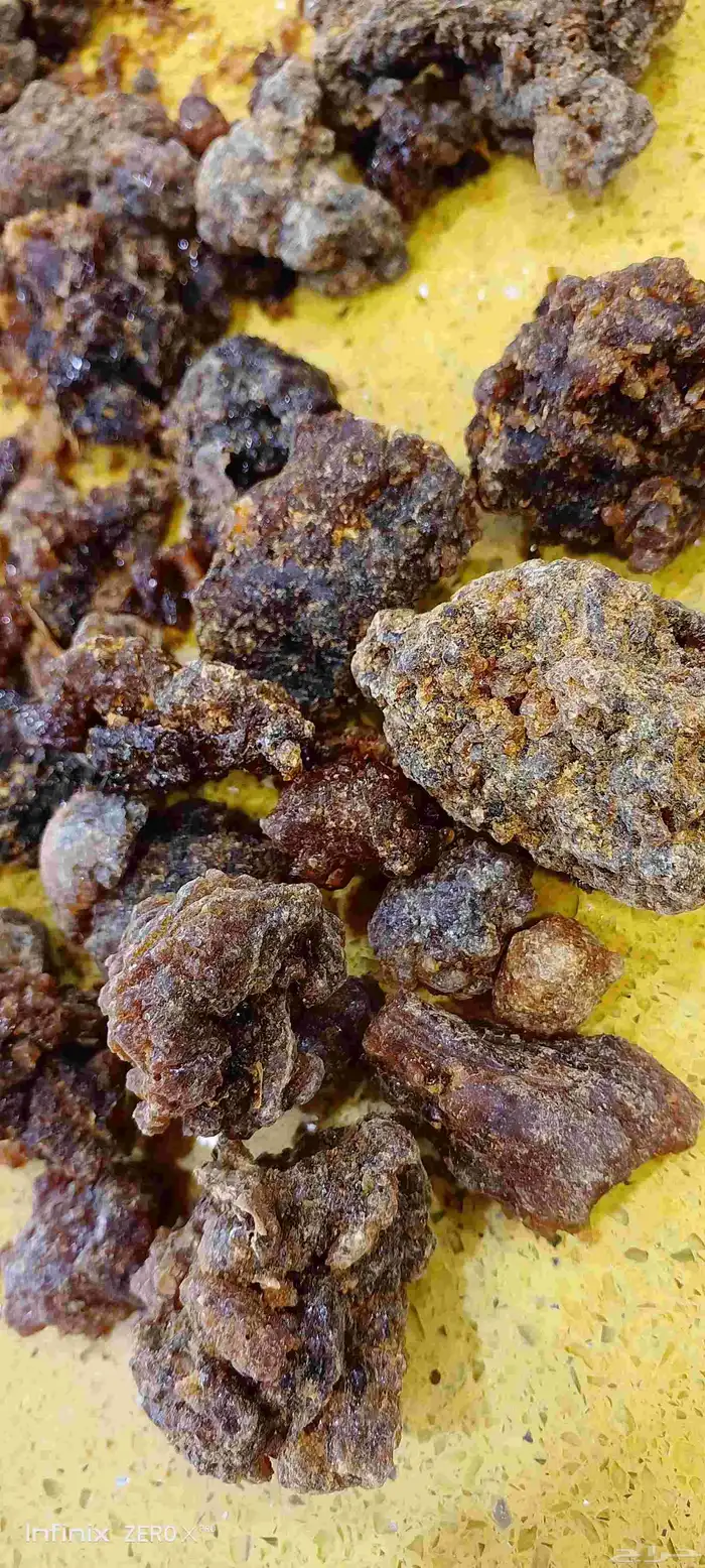 مر صومالي اصلي رقم 1 0