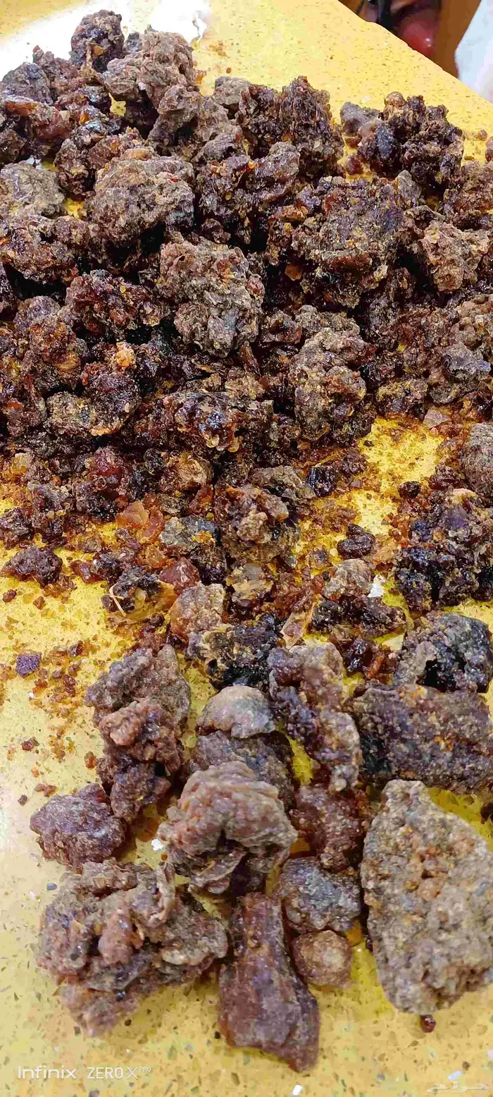 مر صومالي اصلي رقم 1 3