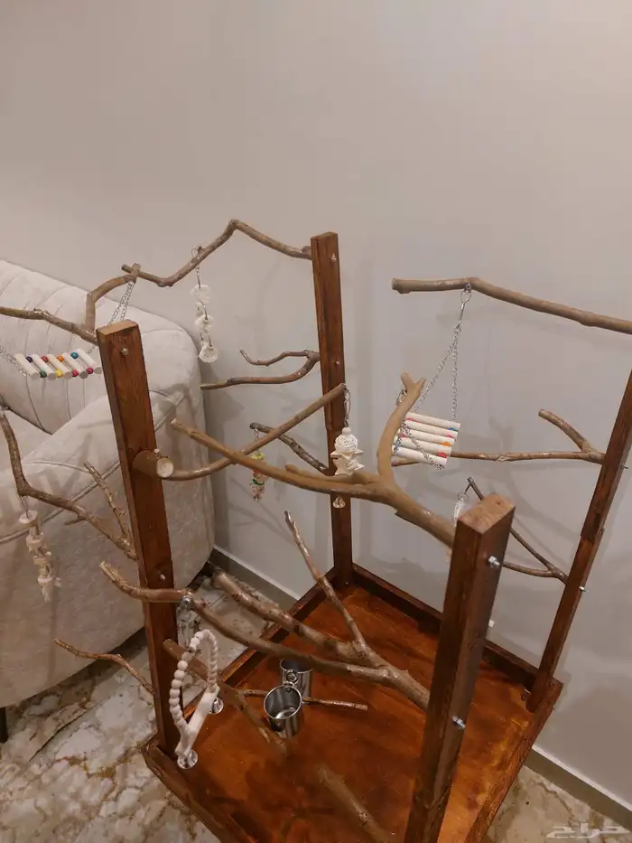 ستاند ببغاء جديييد بفكرة رهيبه قابل لتغيير الشكل 3