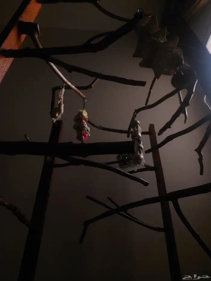 ستاند ببغاء جديييد بفكرة رهيبه قابل لتغيير الشكل 4