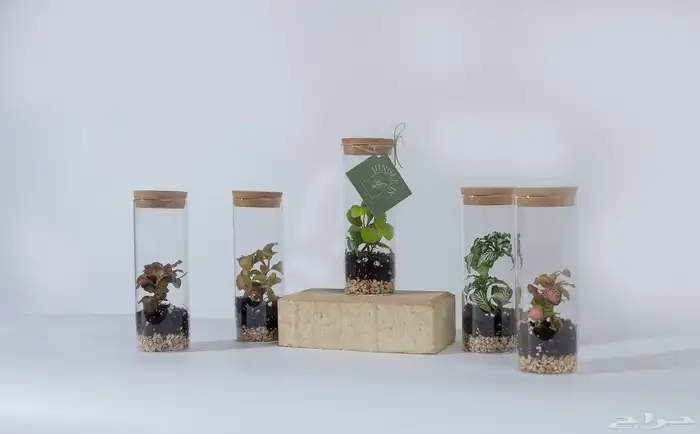 تصوير فوتو وفيديو ودرون 0