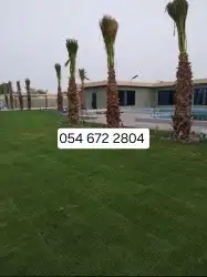 يوجد جميع انواع الاشجار والنباتات يوجد تيل طبيعي يوجد صيانية 0