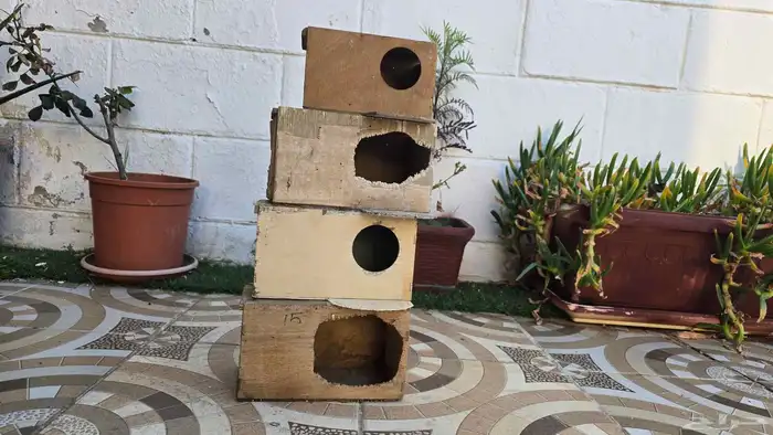 بياضات روز 0