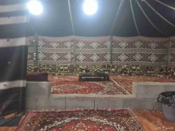 مخيم السعادة بنفود الشرقي 3