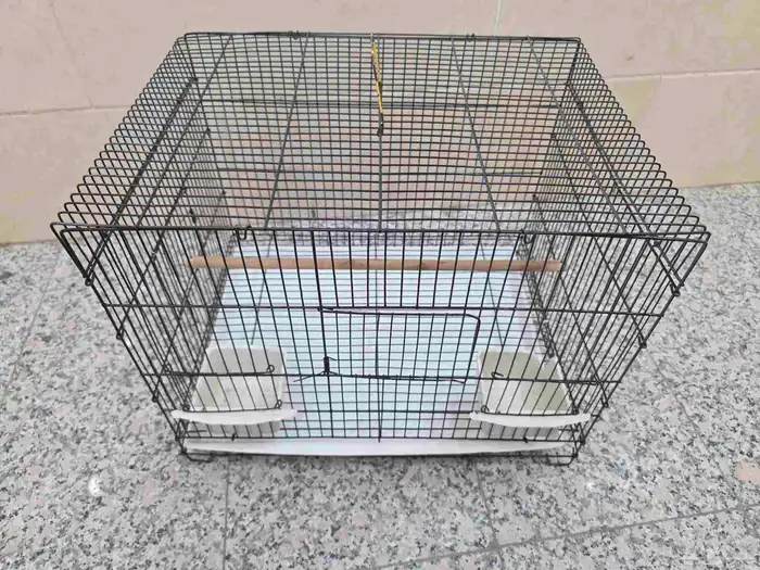 يويو السنغالي 4