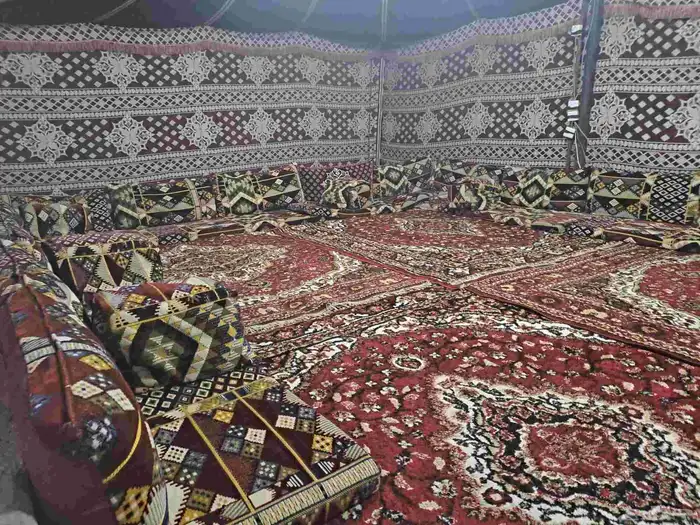 مخيم السعادة بنفود الشرقي 4