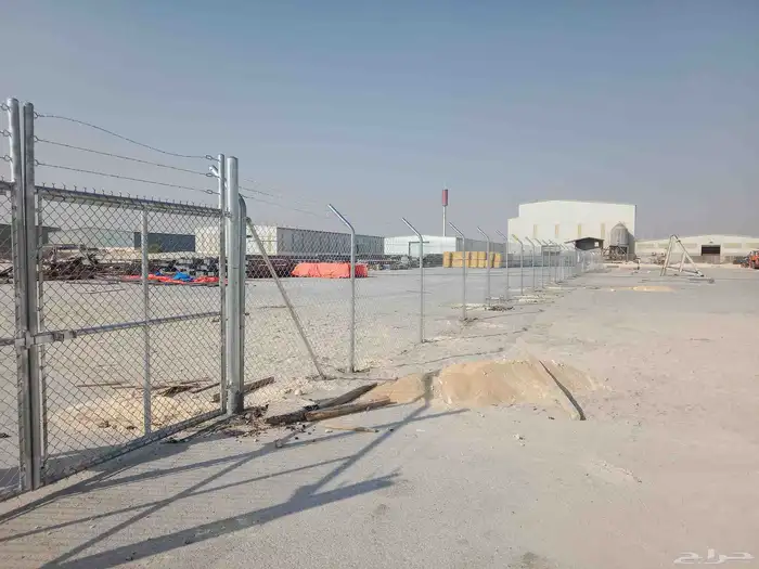 زراعه نخيل عربي واشنطني 7