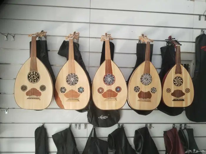 آلات موسيقية جديدة للبيع 2