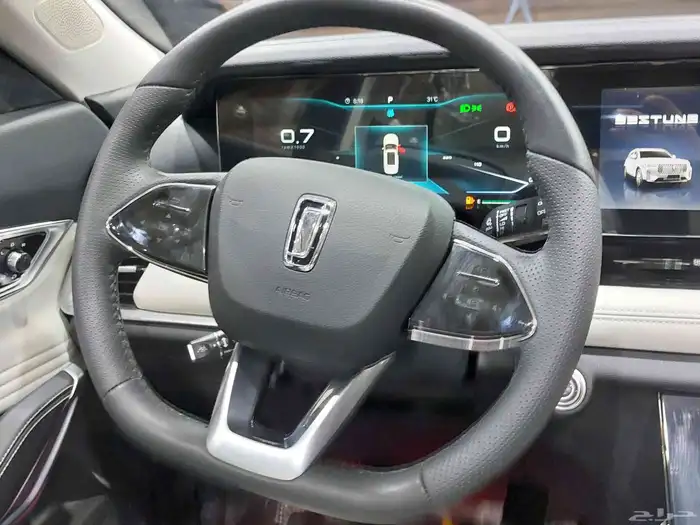 فاو بيتسون T99 13