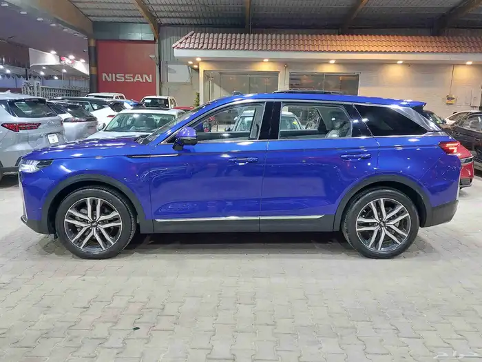 فاو بيتسون T99 2