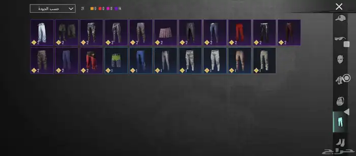 حساب ببجي للبيع 17