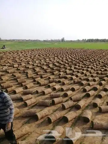 مشتل تنسيق حدائق وعشب صناعي 6