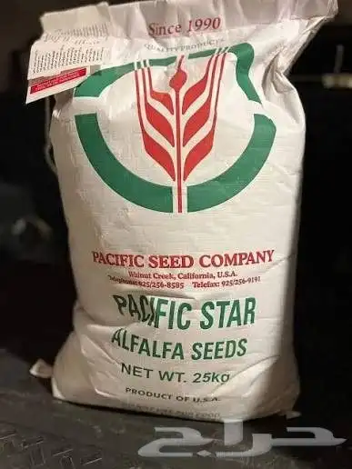 بذور ترمناليا منتاليا وبرسيم 2