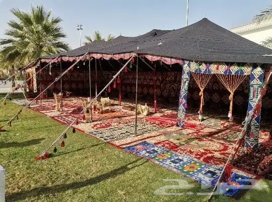 ايجار خيام وبيوت شعر 3