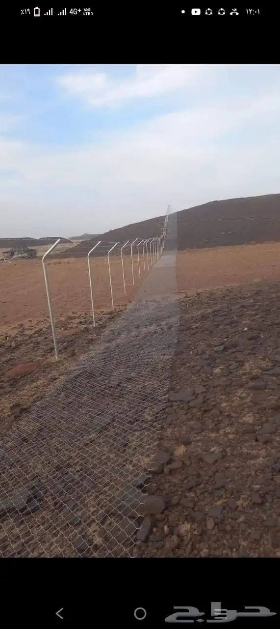 شبوك  سياجات 8