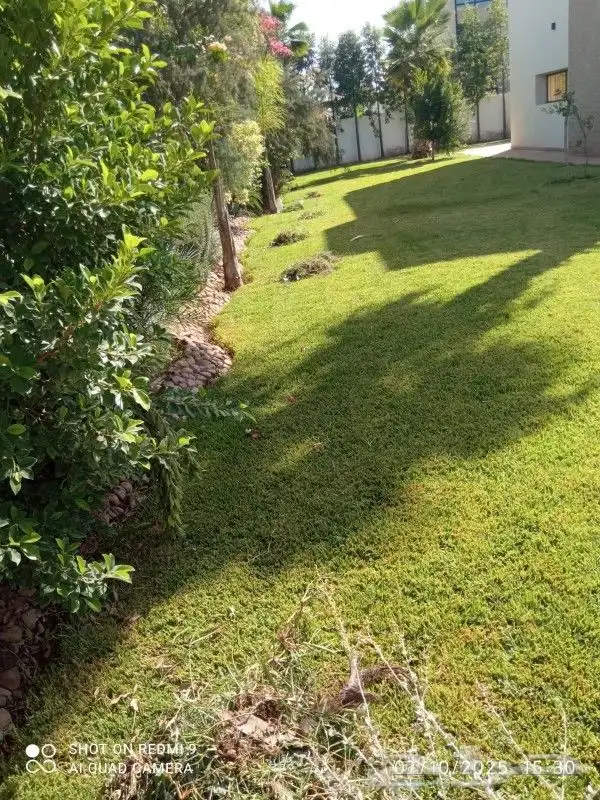 يوجد جميع انواع الاشجار والنباتات يوجد تيل طبيعي 7