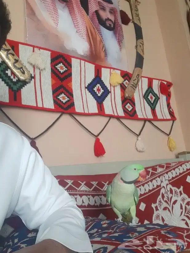 زوج دوره نيبالي 3