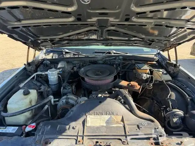 للبيع مزاد كابريس 89 6