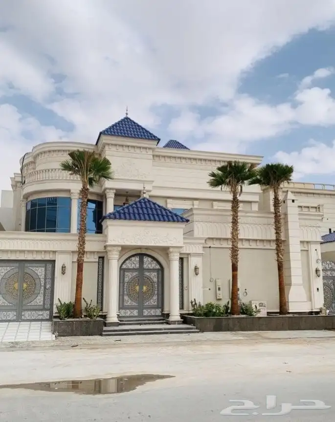 نخيل واشنطونيا ملكي 6