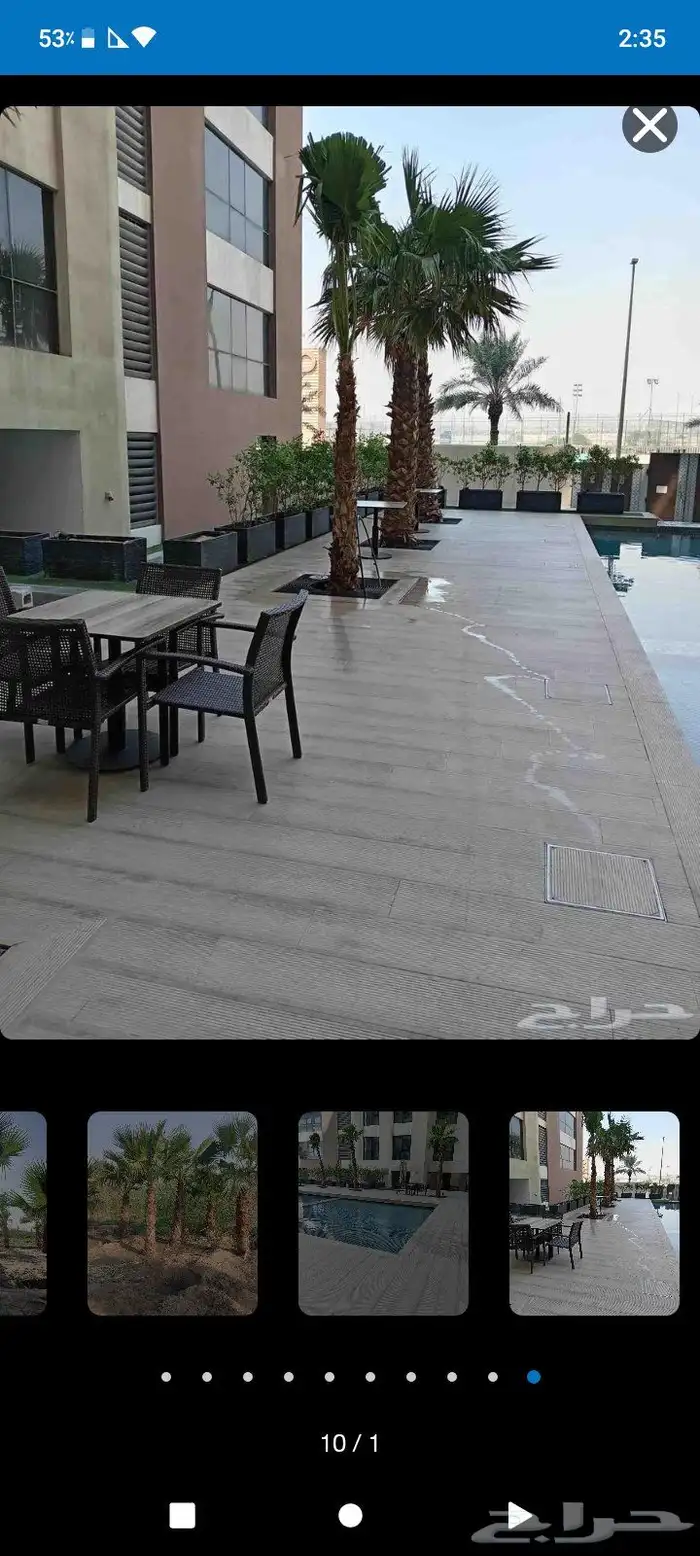 مصطفى بيع جميع انواع النخل والشجر والعشيب والورد والزهر 6