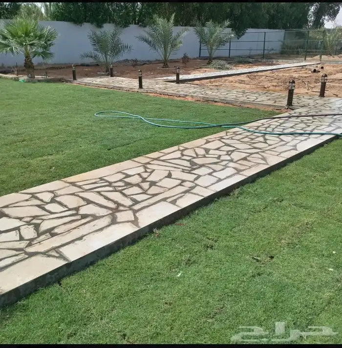 الثيل الطبيعي مع شبكه ري اوتوماتيك زراعه نخيل وشتلات 3