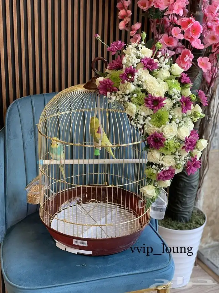 سلاسل خواتم نظارات هدايا نسائية ورجاليه محل هدايا خميس مشيط 0